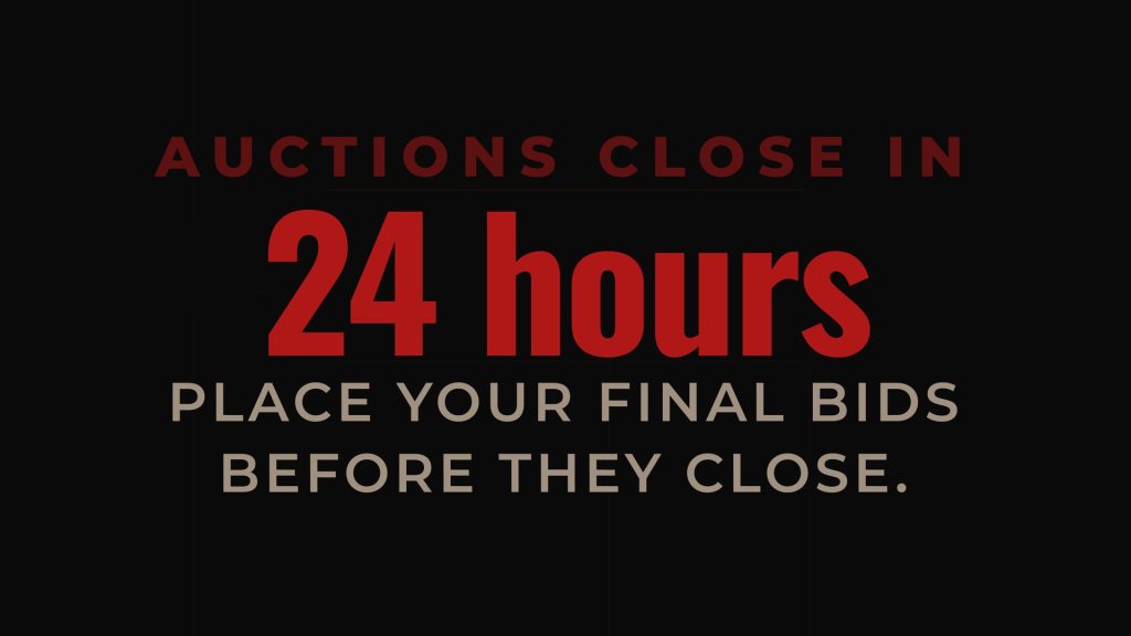 Aetolia auctions final-day reminder: every auction closes within 24 hours
